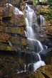 Beautiful rain forest and waterfall at Thailand Beautiful rain forest and waterfall at Thailand