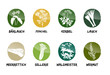 Kräuter Vektor Buttons