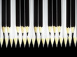 Black and white pencils. Black and white pencils.