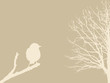 bird on branch on brown background bird on branch on brown background