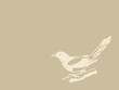 bird on brown background bird on brown background