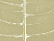 wood sheet silhouette on green background wood sheet silhouette on green background