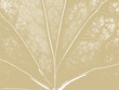 texture of the wood sheet on brown background texture of the wood sheet on brown background