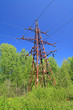 electric pole amongst green wood electric pole amongst green wood