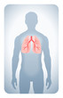 lungs highlighted on the silhouette of a man