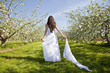 Apple Blossom Woman