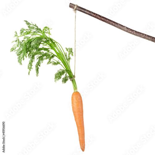 Foto: Carrot on a stick isolated on white Carrot on a stick isolated on white