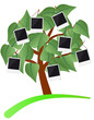 photo frame tree