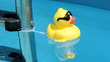 pool tub duck thermometer