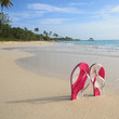 Caraïbes