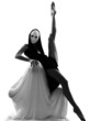 couple dancer performer love concept