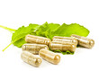 herbal medicine pills with green plant on white background