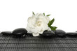 macro of white Gardenia flower with stones on mat