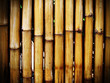 bamboo background bamboo background