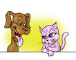 Dog and Cat