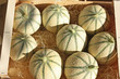 Caisse de melons