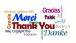Merci Thank you Gracias Danke nuage de tags vidéo