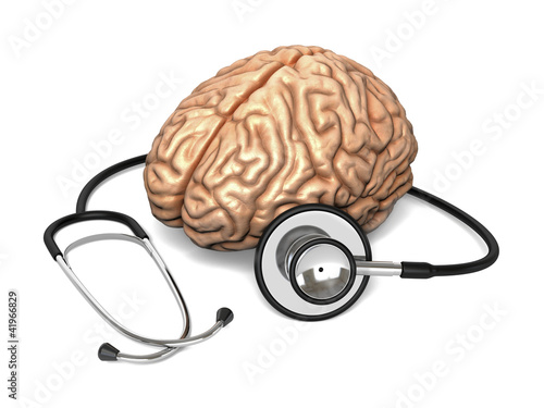 Illustration: The human brain The human brain
