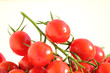 Mini Cocktailtomaten  Rispentomaten