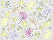 Seamless background. Illustration daisies.