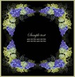 Vintage background with grape branch .
