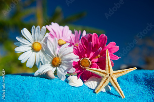 Foto: Tropical still life Tropical still life
