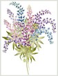 Vektor: Background from flower of the lupine . Background from flower of the lupine .
