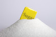 Sugar hill with plate and word sugar written on it