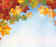 Vector of autumnal leaves on blue sky background. Vector of autumnal leaves on blue sky background.