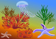 Underwater world