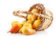 ripe pears in basket isolated on white background