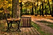 Autumn in the park in Belchatow. Poland