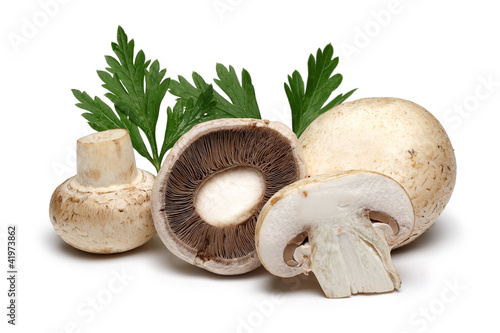 Photo: mushrooms mushrooms