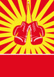 Boxen
