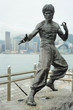 Bruce Lee statue