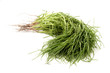 Foto: Opposite Leaved Saltwort Opposite Leaved Saltwort