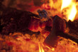 Roasting the bacon