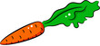 Carrot
