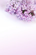 Beautiful, romantic background with lilac flowers Beautiful, romantic background with lilac flowers