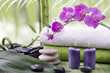 orchidea con pietre e bambù
