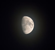 Misty Moon