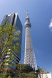 東京スカイツリーとイーストタワー
