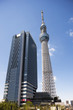 東京スカイツリーとイーストタワー