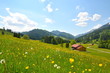 Gebirgstal mit Haus im Frühling