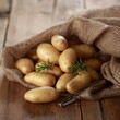 erntefrische Kartoffeln