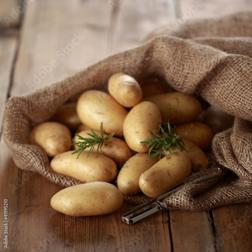 Photo: erntefrische Kartoffeln erntefrische Kartoffeln