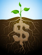 Roots and tuber in form of dollar symbol sprout. Vector image