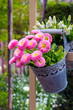 Foto: Flower arrangement Flower arrangement