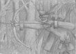 Archer