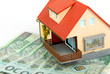 polish money on house - loan for own home